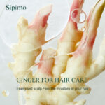 Sipimo Ginger Clay Hair Conditioner - Image 4